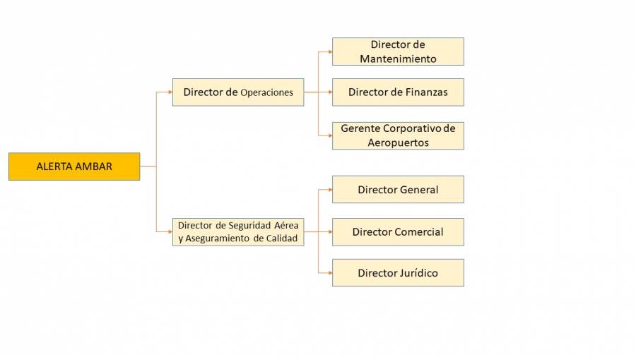 flujo_alerta_ambar.jpg