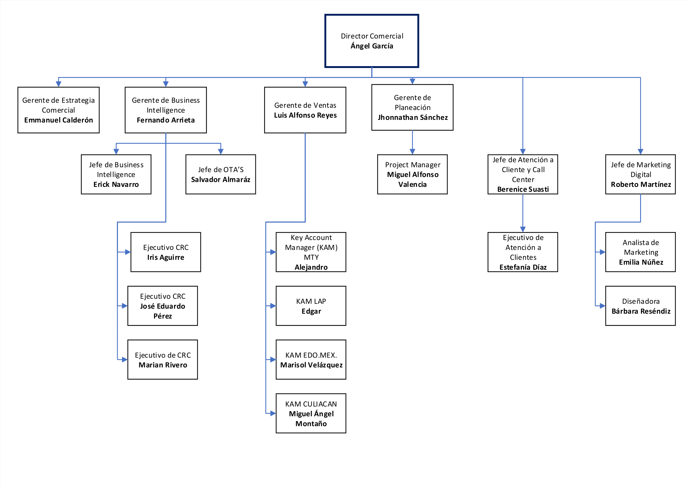 organigrama_area_comercial-1.png